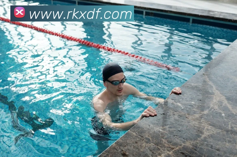 巅峰国际平台生态图